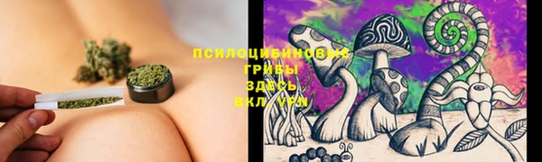 a pvp Нея
