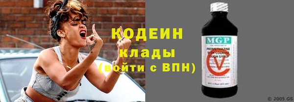 спиды Бикин