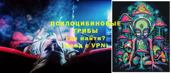 PSILOCYBIN Нефтекумск