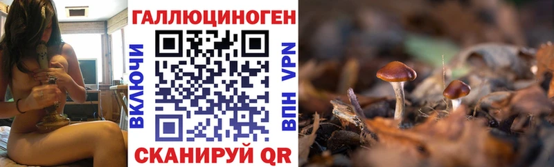 гидра сайт Черногорск Псилоцибиновые грибы мухоморы закладки