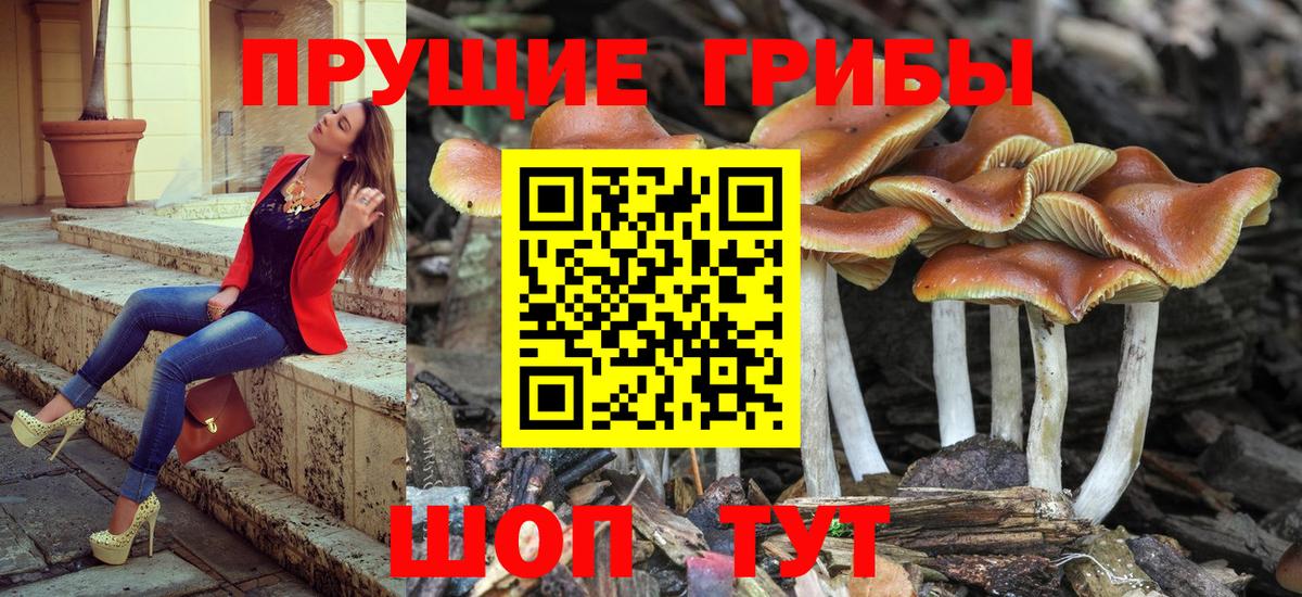 Псилоцибиновые грибы MAGIC MUSHROOMS Черногорск