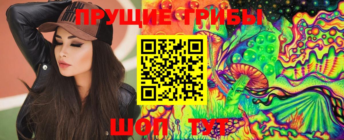 Псилоцибиновые грибы Psilocybe Черногорск