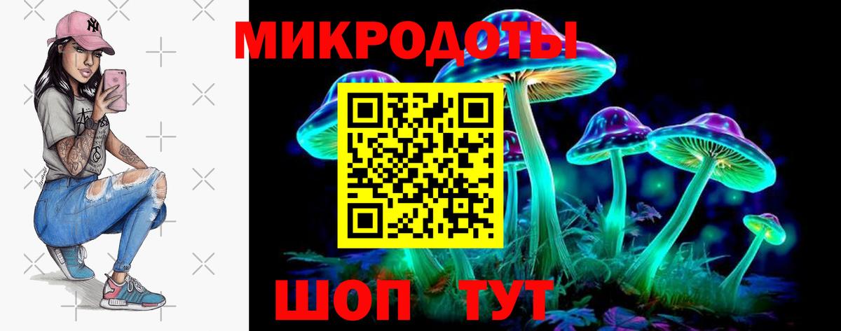 Галлюциногенные грибы GOLDEN TEACHER  Черногорск 