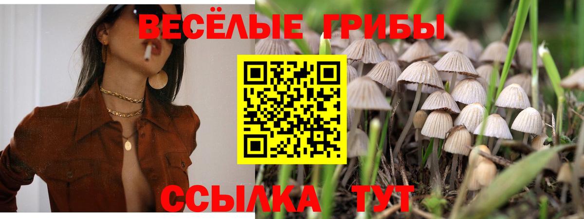 Черногорск  Галлюциногенные грибы прущие грибы  Вход с VPN 